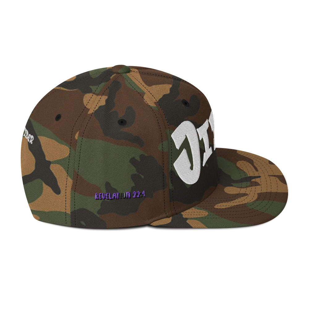 Spirit Space Jireh Snapback Hat